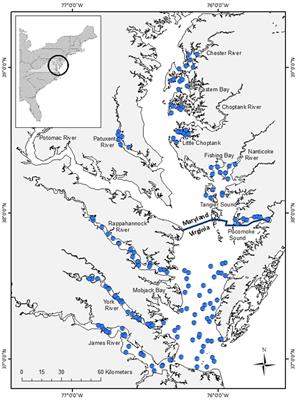 The Extent of Seasonally Suitable Habitats May Limit Forage Fish Production in a Temperate Estuary